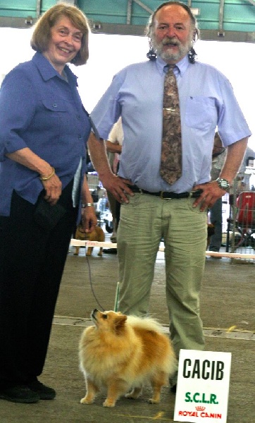 CH. Diva at Caneden - 1er EXC - CAC - CACIB - BOB -