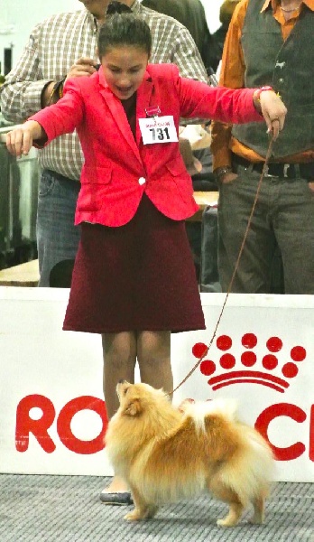 CH. Diva at Caneden - 1er EXC -CACIB - BOB