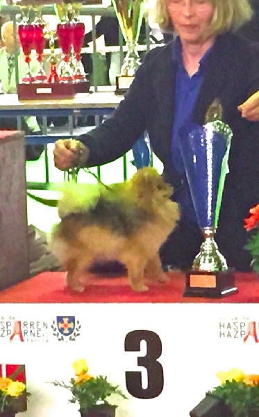 Caneden Lady loïs lane (loÏs) - 1er EXC - BOJ - BISJ3