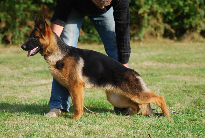 Publication : de la Petite Laeticia