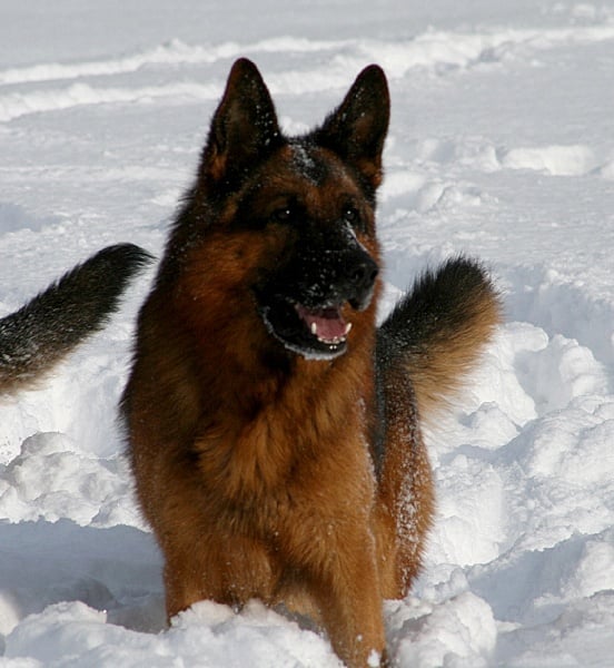 Publication : de la Petite Laeticia