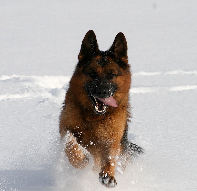 Publication : de la Petite Laeticia