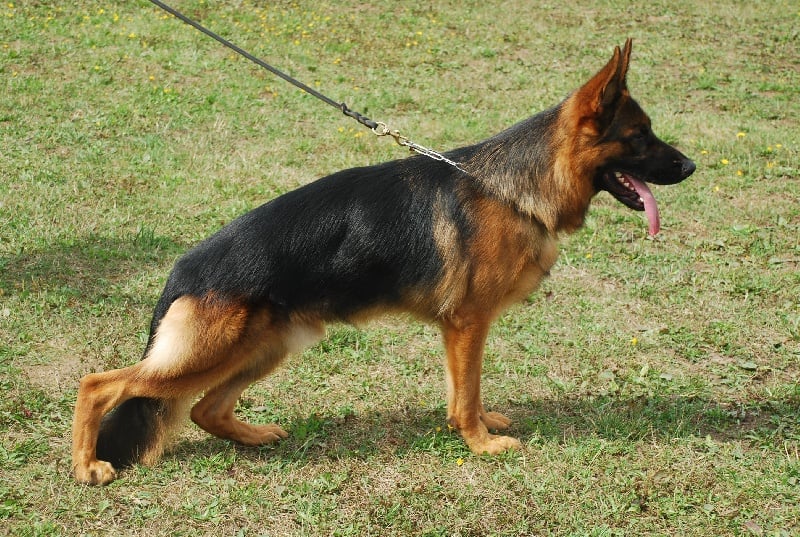 Publication : de la Petite Laeticia