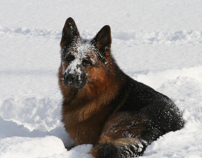 Publication : de la Petite Laeticia