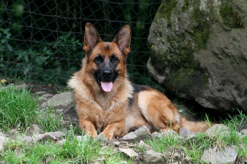 Publication : de la Petite Laeticia