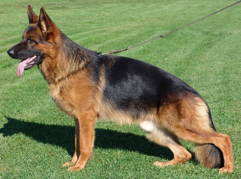 Publication : de la Petite Laeticia