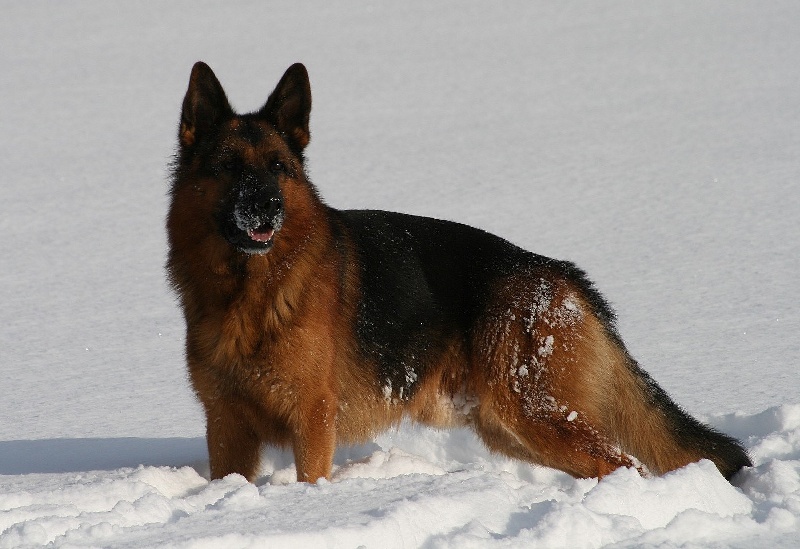 Publication : de la Petite Laeticia