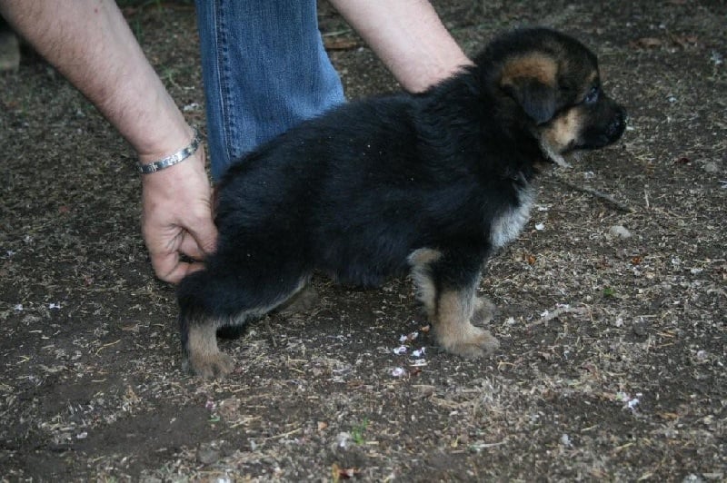 Publication : de la Petite Laeticia