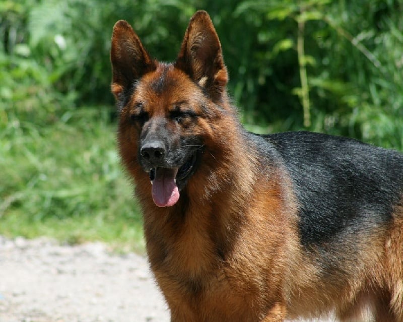 Publication : de la Petite Laeticia