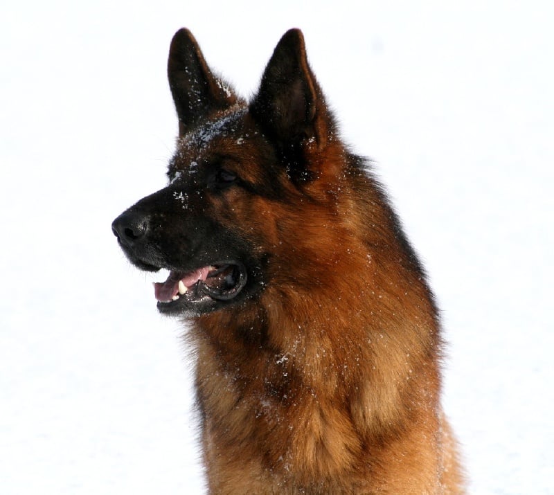 Publication : de la Petite Laeticia