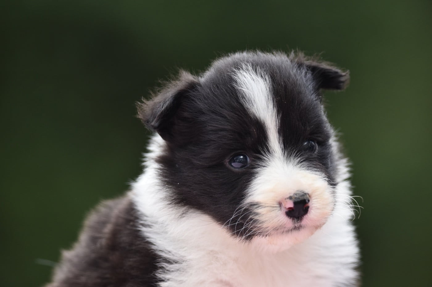 BAIA DU MAS ENSOLEILLÉ