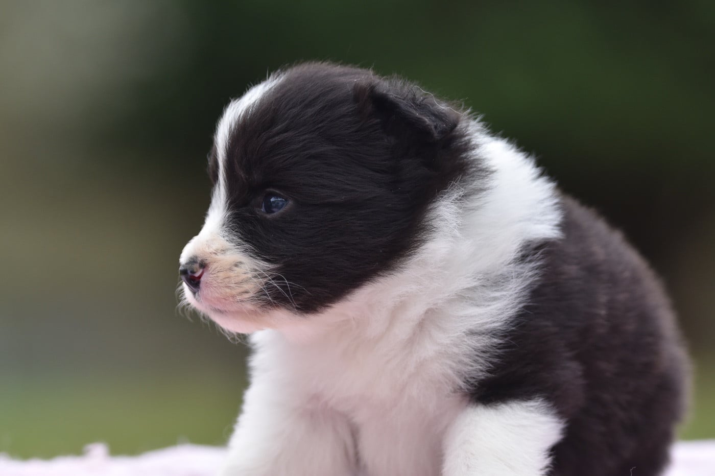 BAIA DU MAS ENSOLEILLÉ