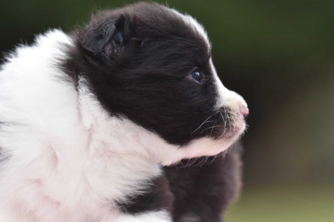 BAIA DU MAS ENSOLEILLÉ