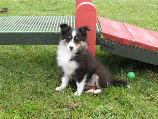 Country black river du Grand Pre D'Ortignac