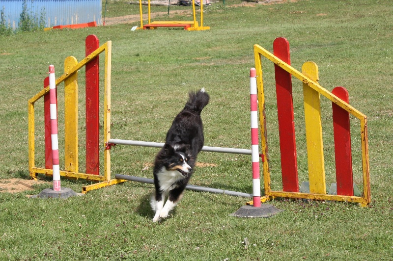 Country black river du Grand Pre D'Ortignac