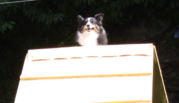 Country black river du Grand Pre D'Ortignac