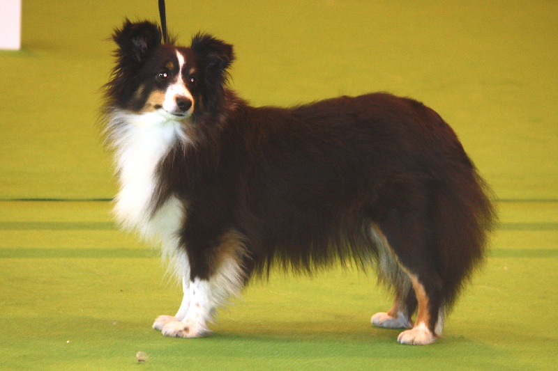 Country black river du Grand Pre D'Ortignac