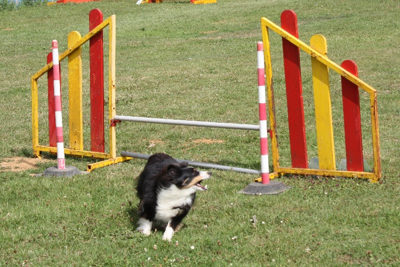 Country black river du Grand Pre D'Ortignac