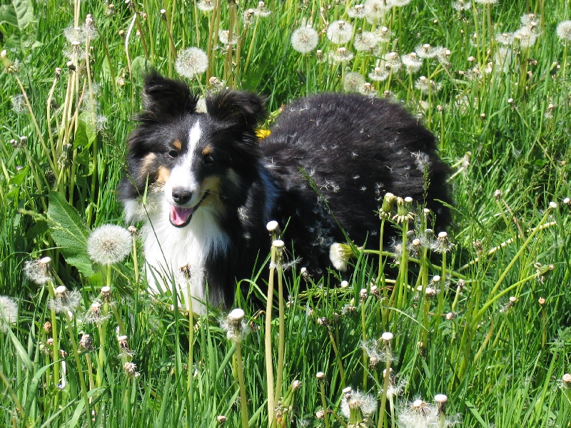 Country black river du Grand Pre D'Ortignac
