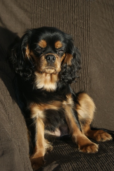 Publication : des Greves du Marloux Auteur : Sophie Lecuyer