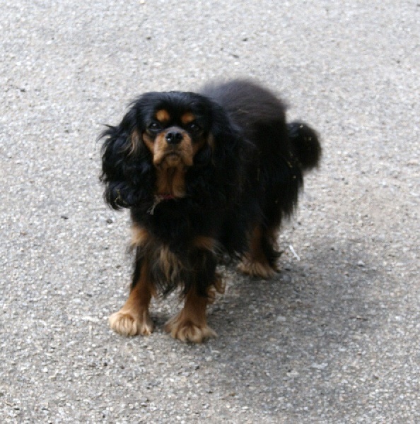 Publication : des Greves du Marloux Auteur : Sophie Lecuyer