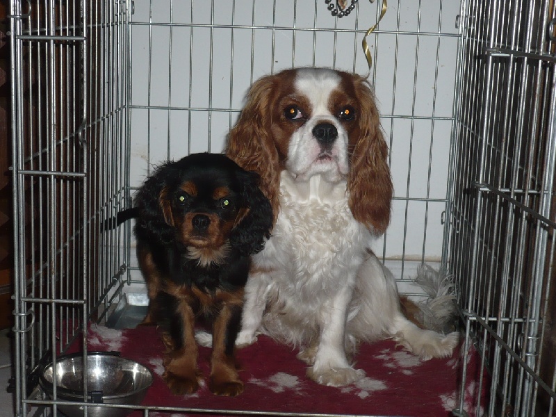 Publication : des Greves du Marloux Auteur : Sophie Lecuyer