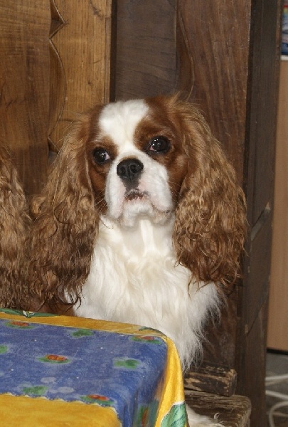 Publication : des Greves du Marloux Auteur : Sylvie Kervella