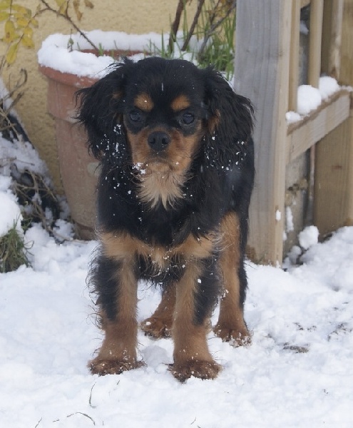 Publication : des Greves du Marloux Auteur : Sophie Lecuyer