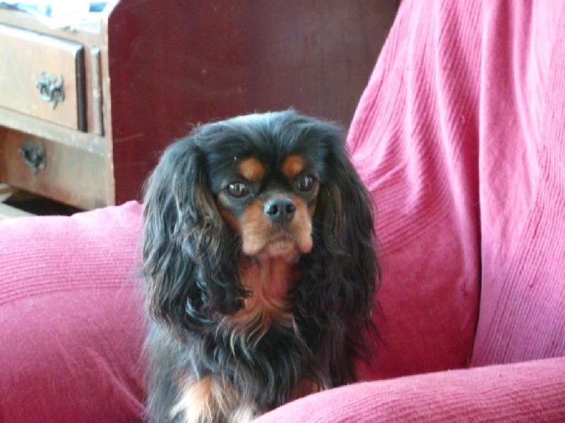 Publication : des Greves du Marloux Auteur : Sophie Lecuyer