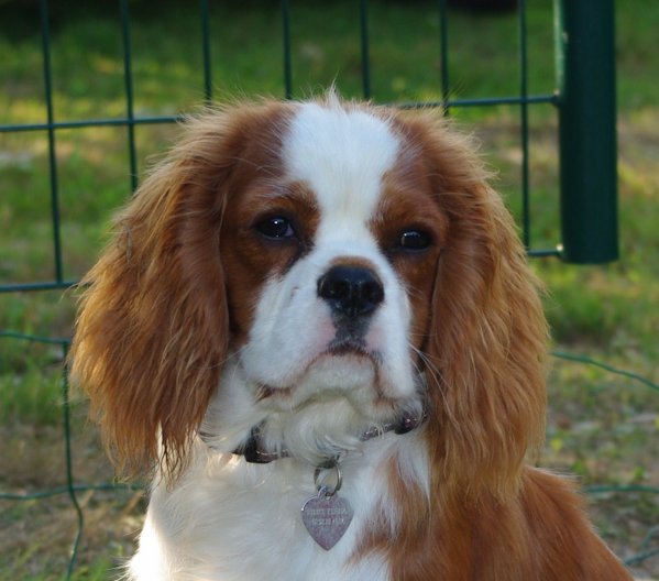 Publication : des Greves du Marloux Auteur : Sylvie Kervella