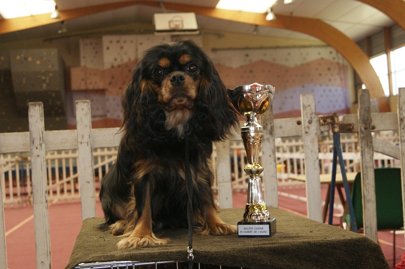 Publication : des Greves du Marloux Auteur : Sophie Lecuyer