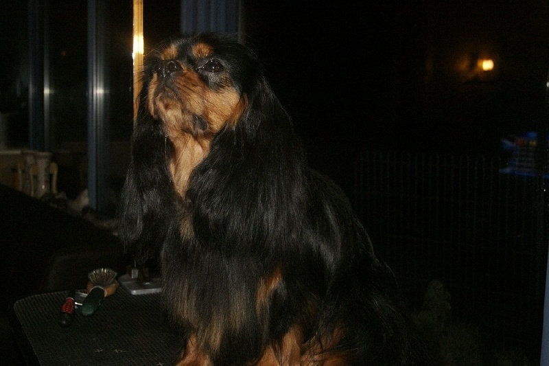 Publication : des Greves du Marloux Auteur : Sophie Lecuyer