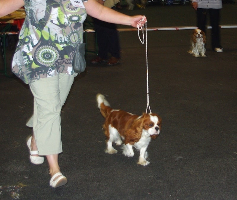 Elton john De castel peyrac - 3ème excellent