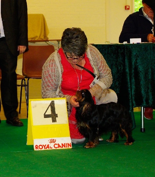 Hope for the manor ti king des Cavaliers D'Albion - 4ème excellent classe ouverte