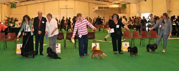 Emilou haris des marais de Bremes - 4ème excellent