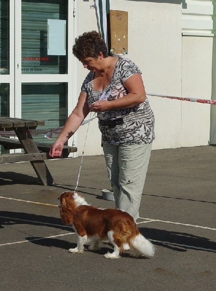 Elton john De castel peyrac - 1er Exc + RCACS