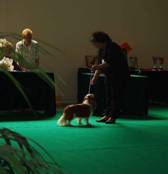 Elton john De castel peyrac - Excellent