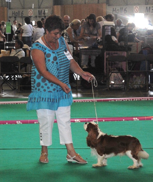 Elton john De castel peyrac - Très Bon