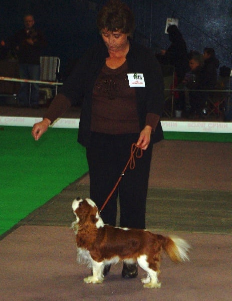 Elton john De castel peyrac - 2ème excellent