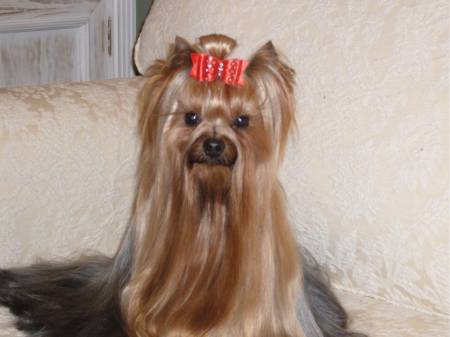 Publication : ilberri