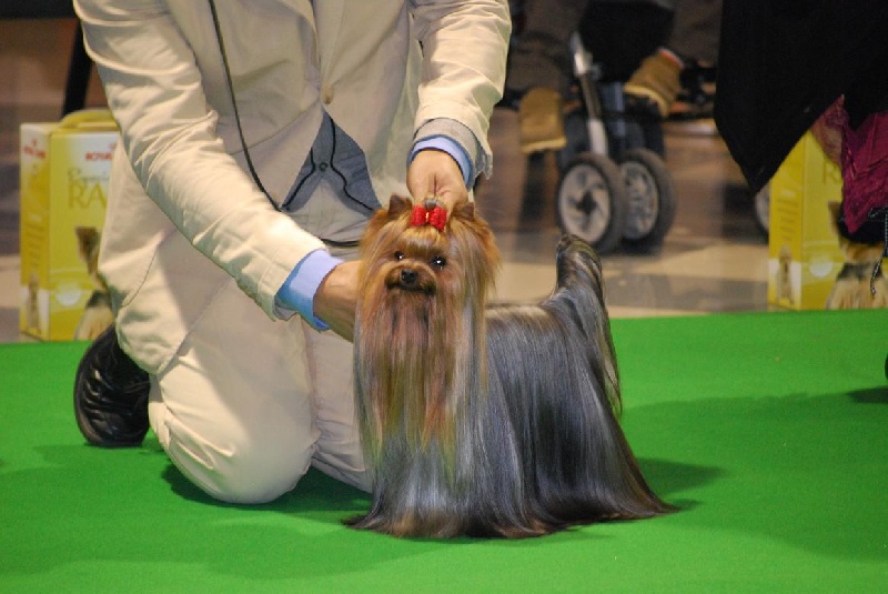 Publication : ilberri