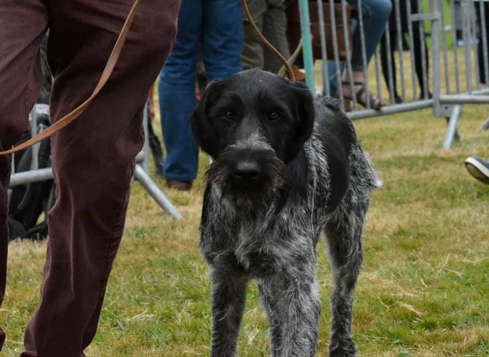 Publication : Du baconnais Auteur : Lucille Bernard