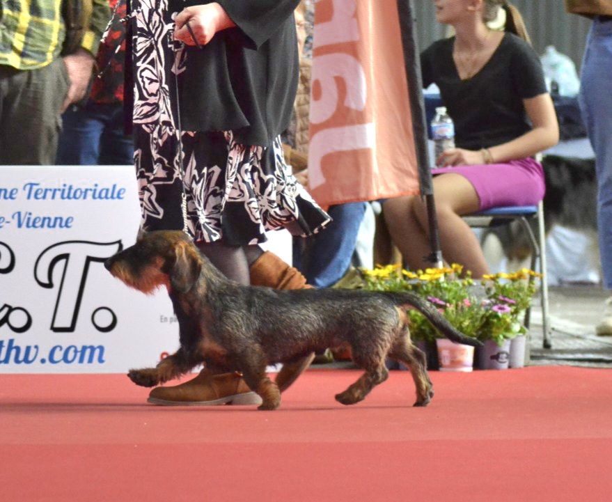 Virus l'isotope d'oun bass