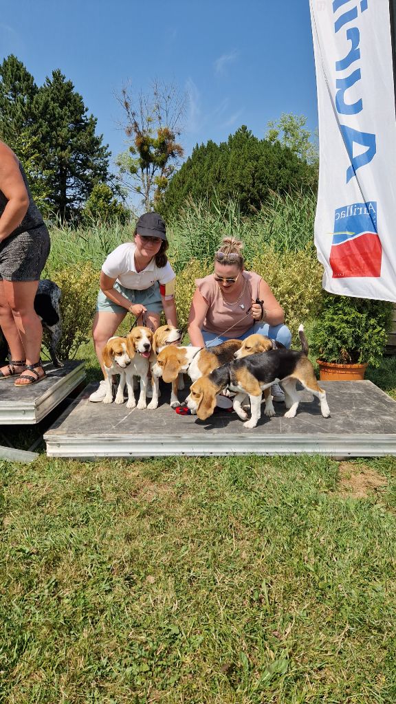 Sur d'elle Des Chasseurs Du Temps - Excellent classe ouverte femelle