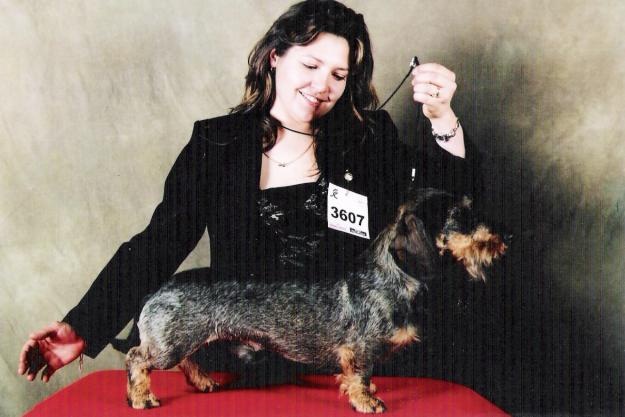 CH. Jingle tinkle Artiste - MEILLEUR DE GOUPE ( cacs cacib bob bog )