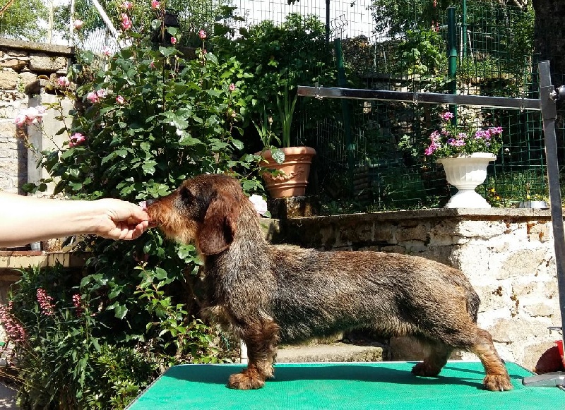 J'te kiffe de la Cascade d'Orion - 3 ème exc en classe jeune