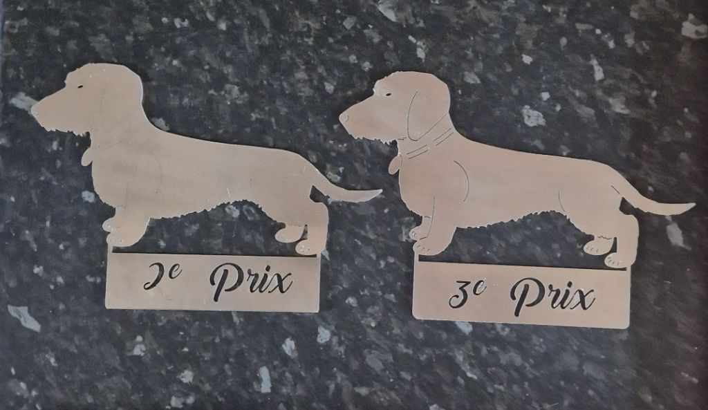 Tia de la Cascade d'Orion - 2 ème prix 75 points