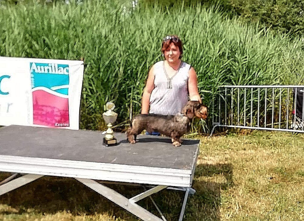 CH. Just a gigolo de la Cascade d'Orion - 1er exc classe champion, Meilleur de race , 2ème de groupe