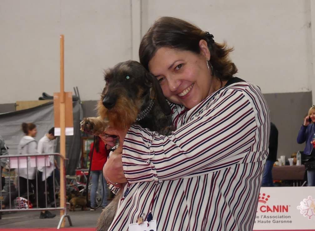 CH. Just a gigolo de la Cascade d'Orion - 1er exc classe champion,CACIB , Meilleur de sexe opposé