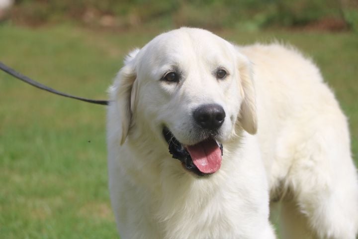 R'max du domaine du vignoble